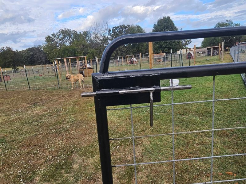 Dog Fence in Methuen